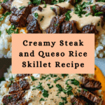 Steak and Queso Rice Recipe