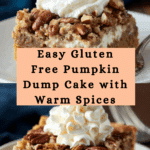 Gluten Free Pumpkin Dump Cake Recipe
