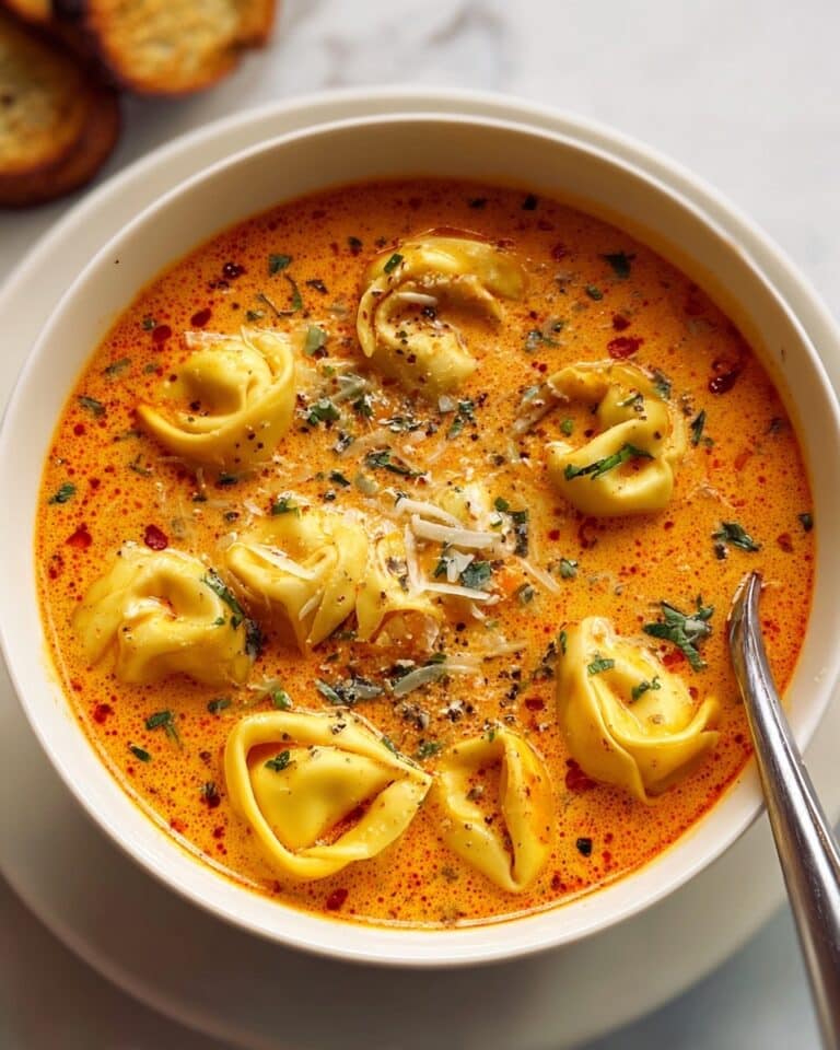 Cheesy Tomato Tortellini Soup Recipe